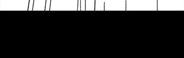 74.jpg