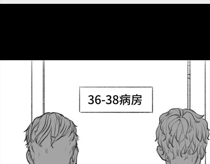 178.jpg