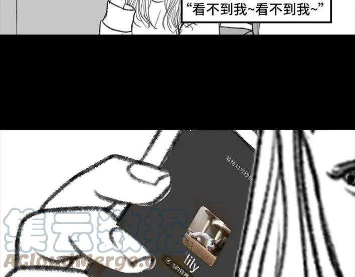 97.jpg