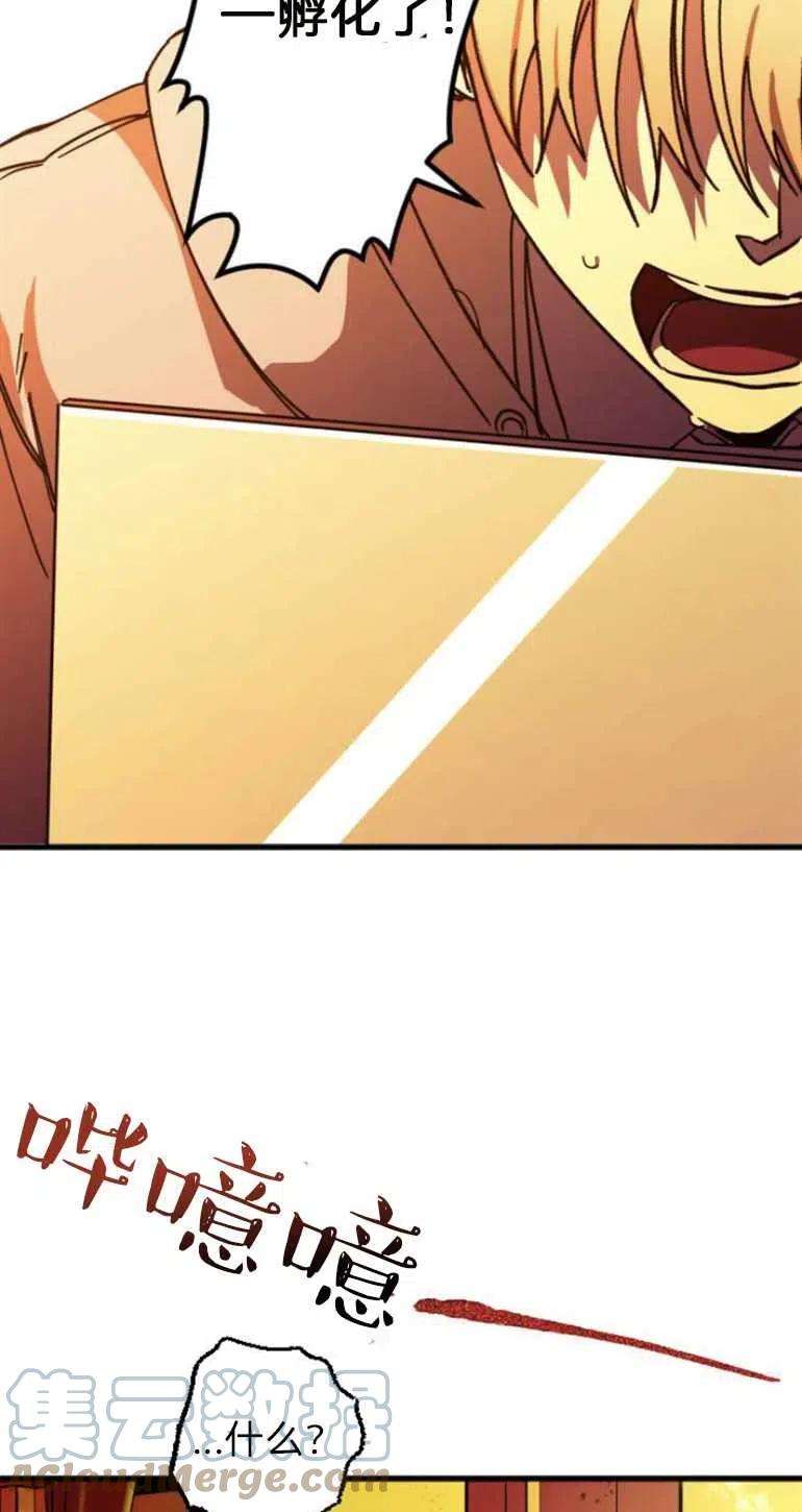 43.jpg