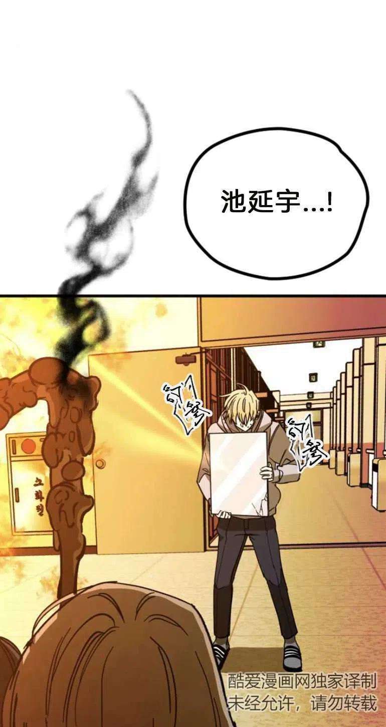 41.jpg