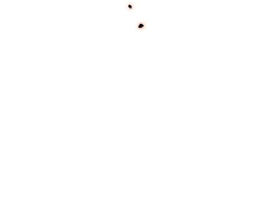 181.jpg