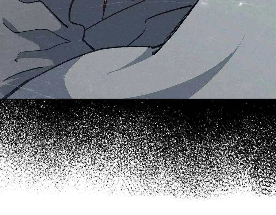 255.jpg