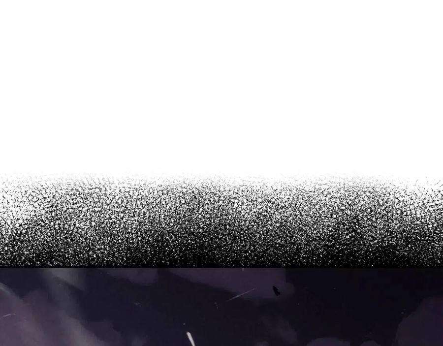243.jpg
