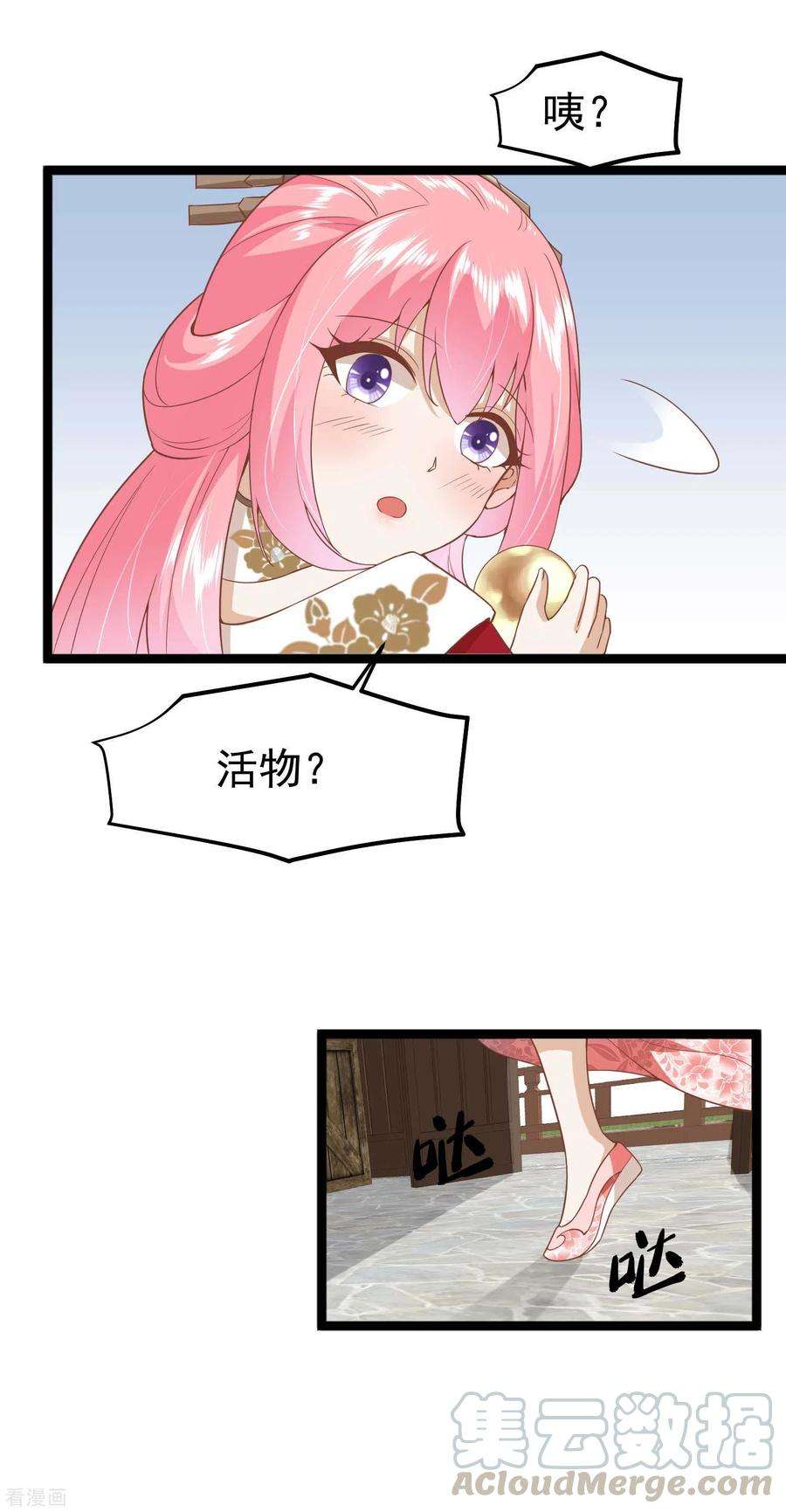 5.jpg