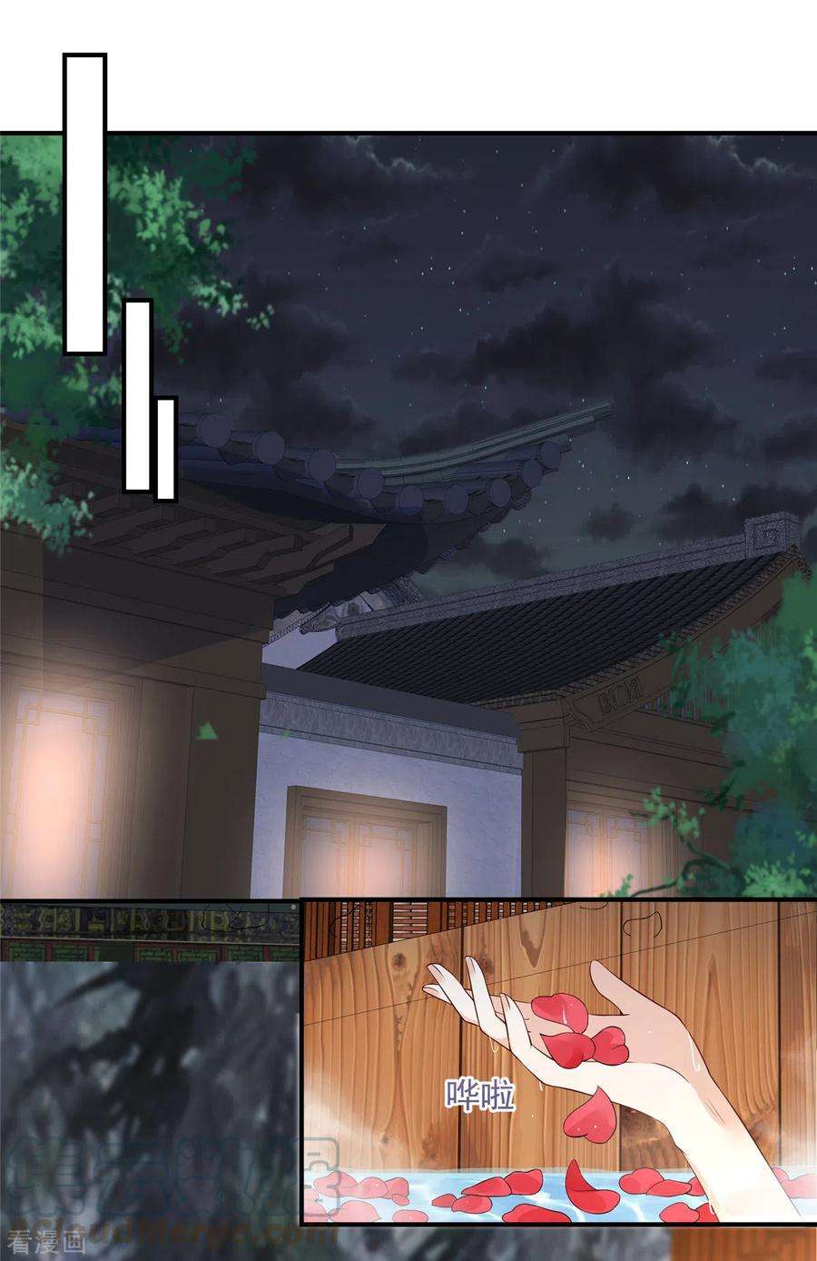 11.jpg