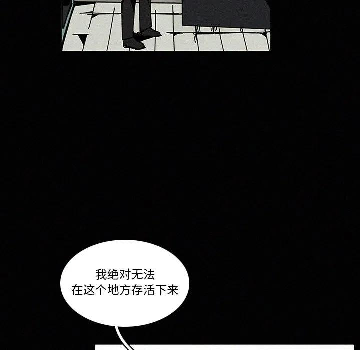 95.jpg