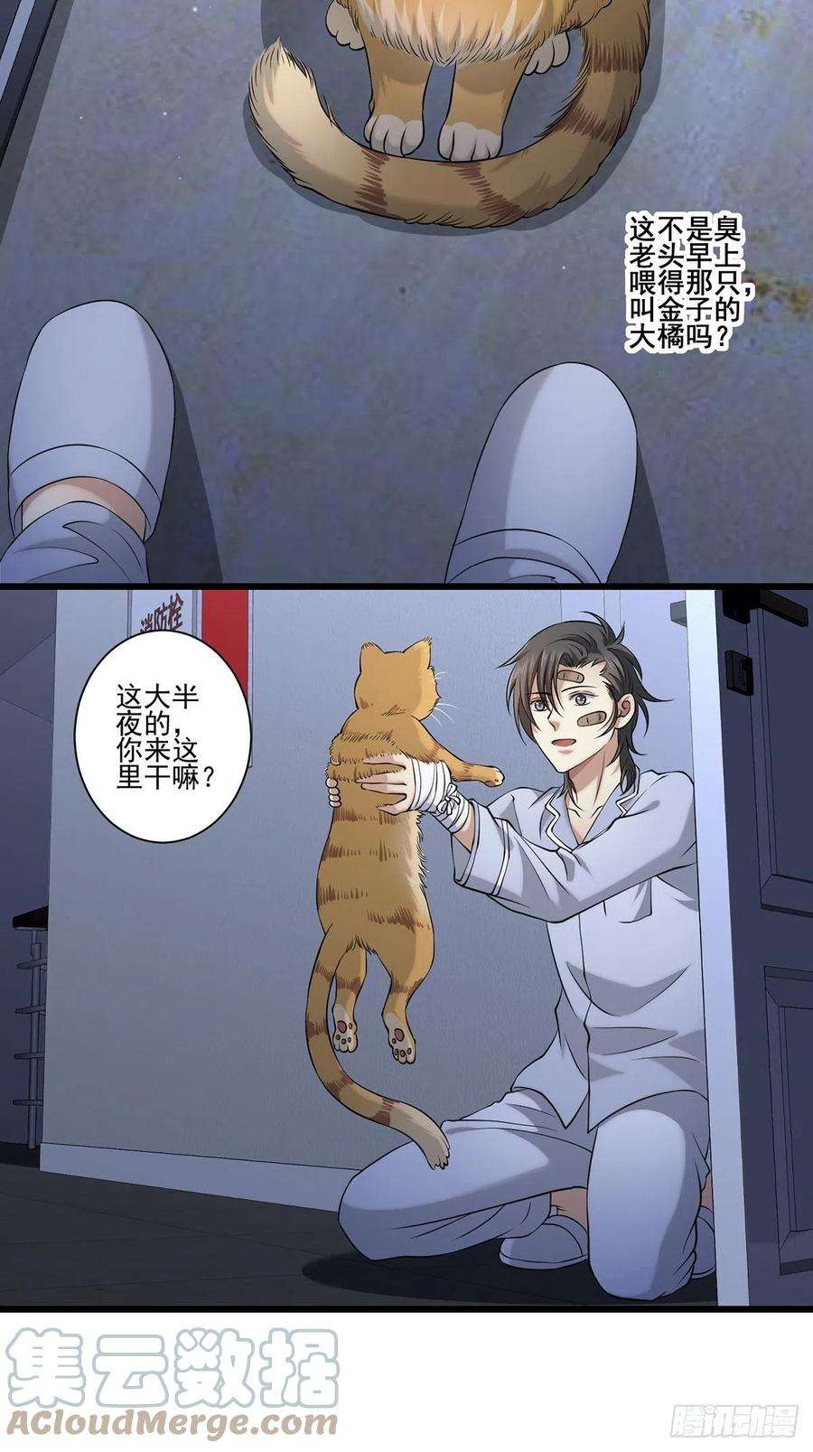 19.jpg