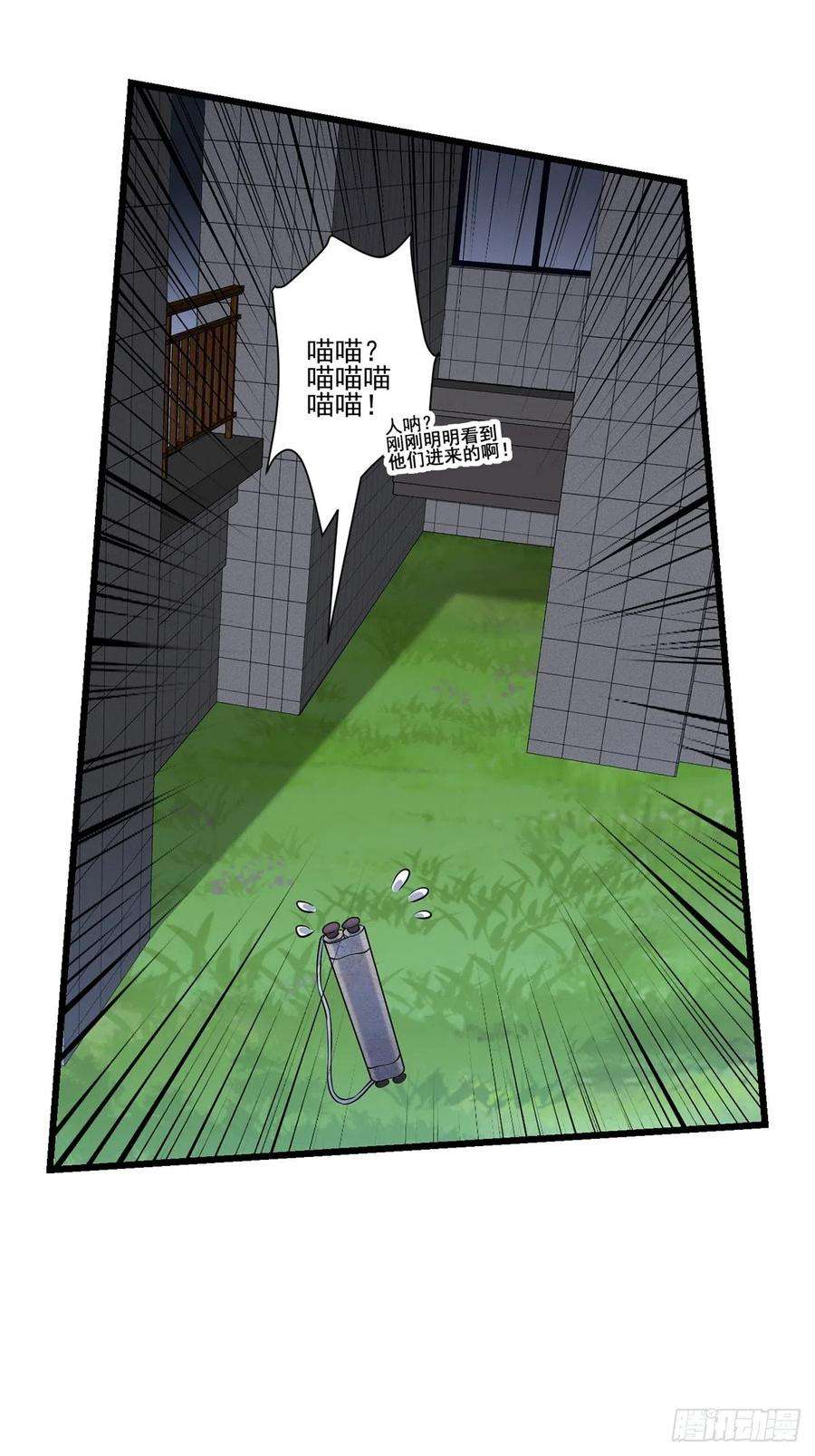 24.jpg