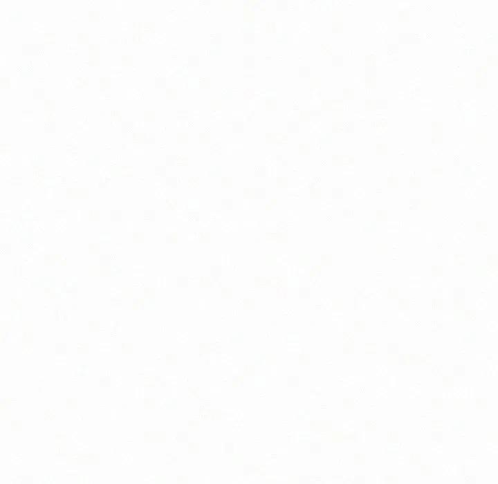 102.jpg