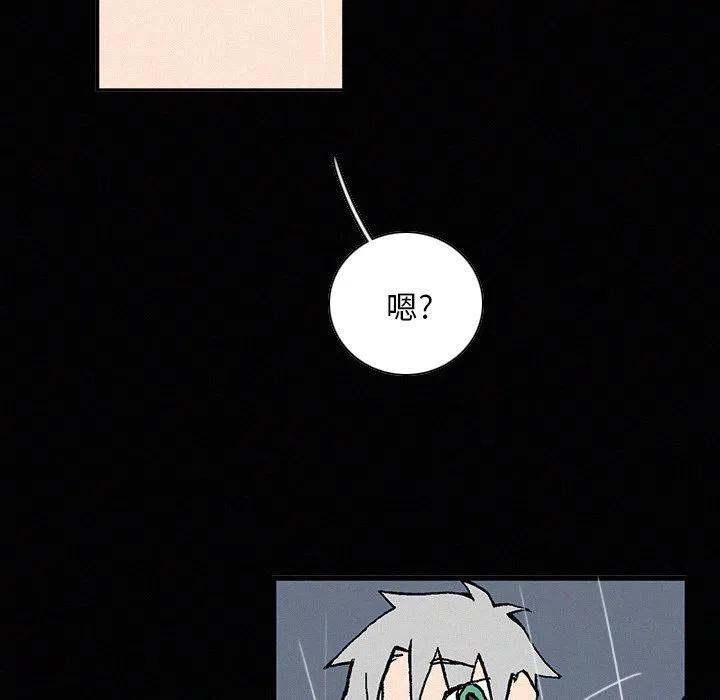 95.jpg