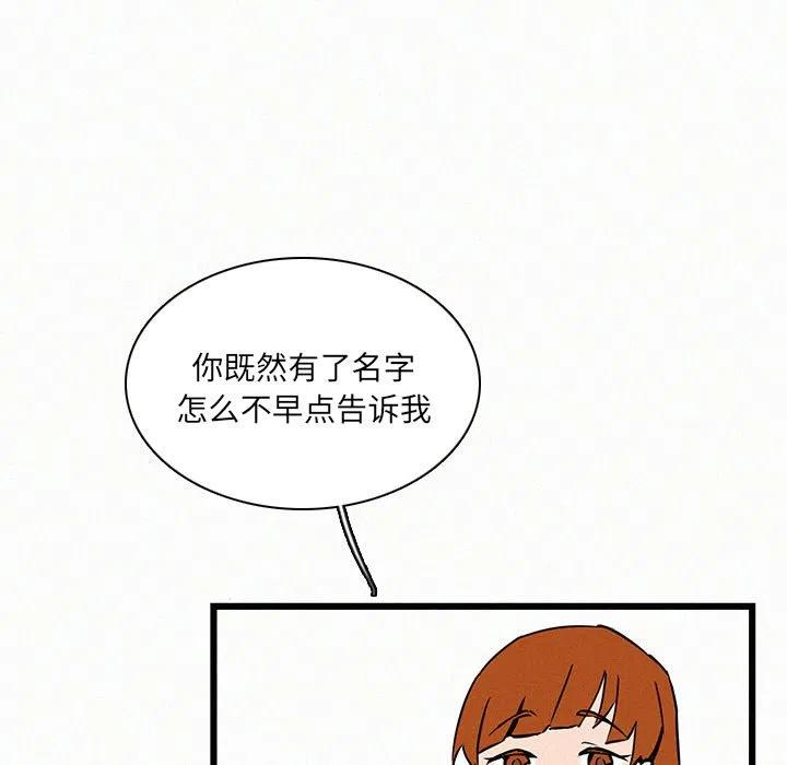 51.jpg