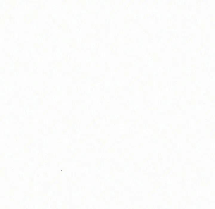 102.jpg
