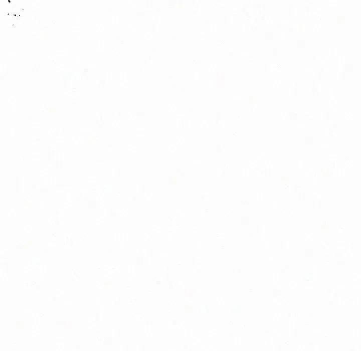 95.jpg