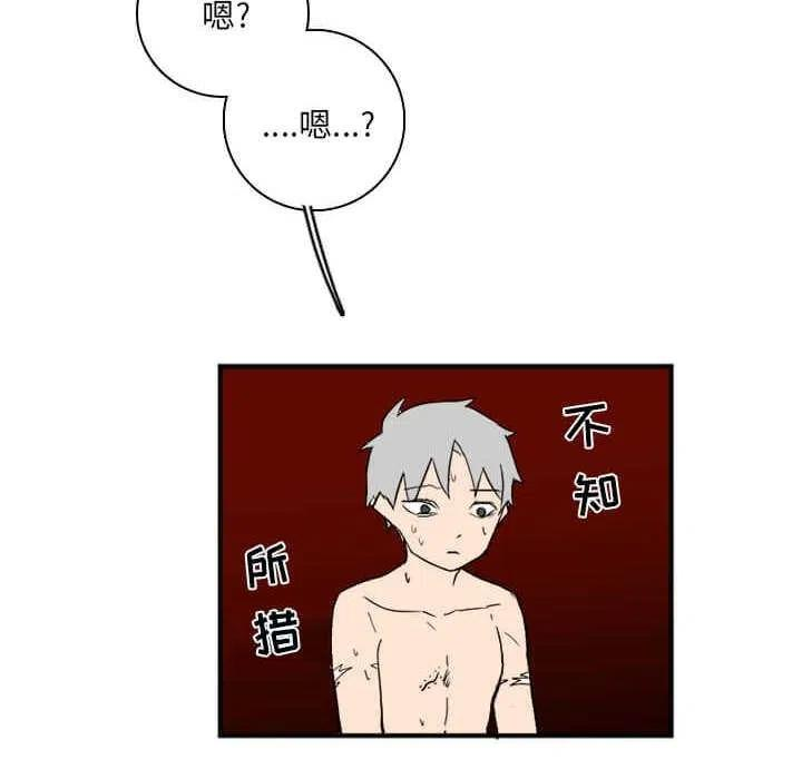 47.jpg