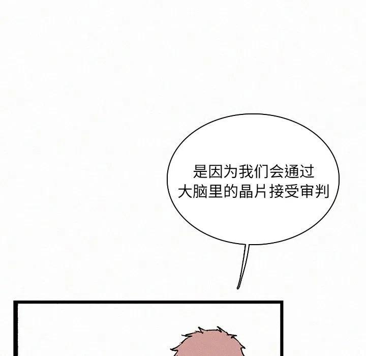 78.jpg