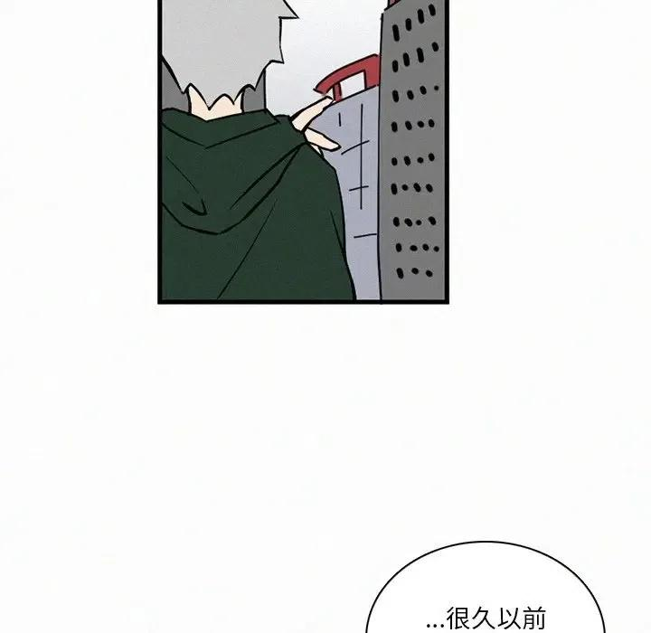 48.jpg