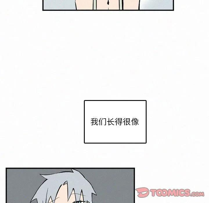 48.jpg
