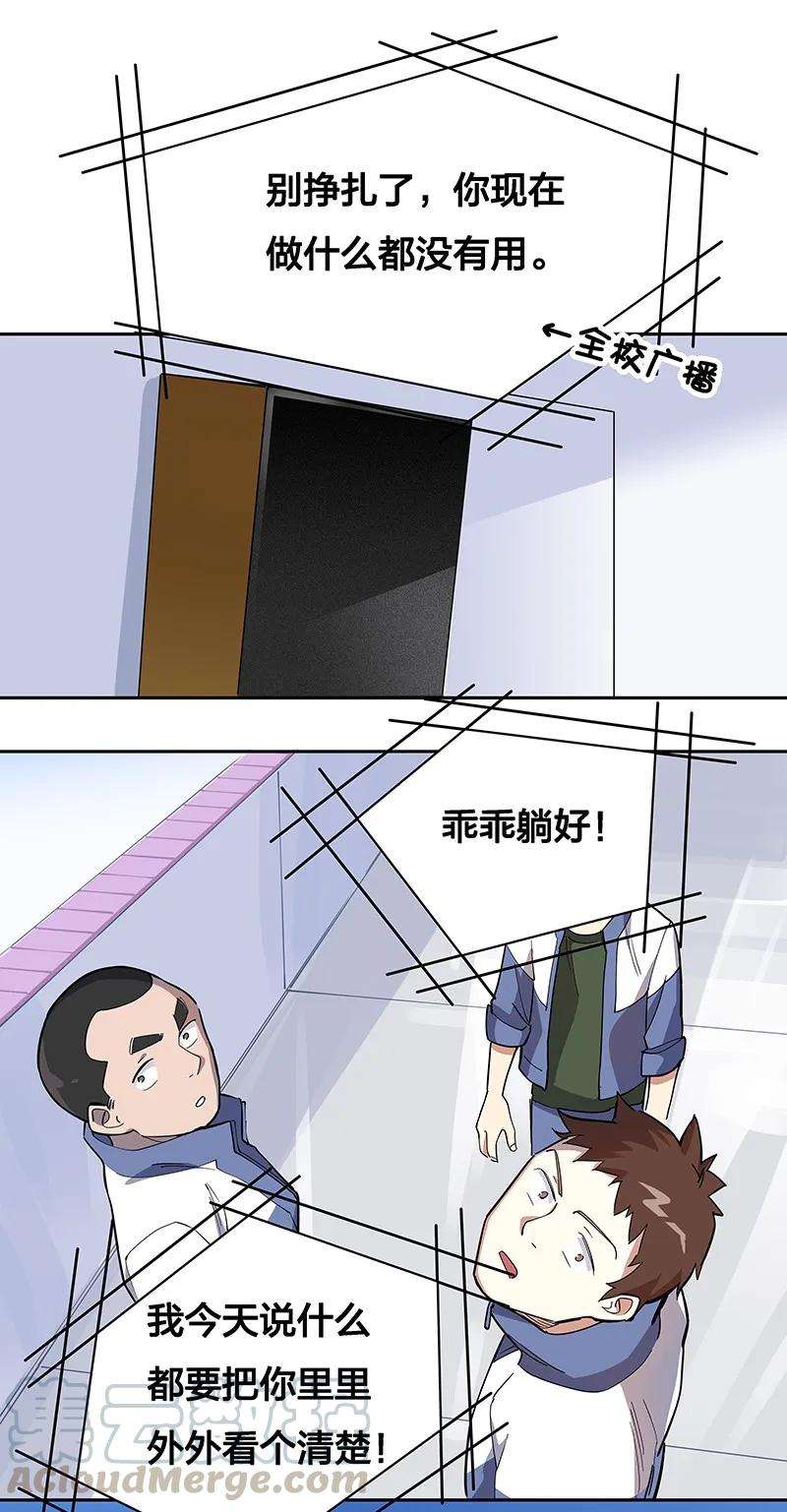 43.jpg