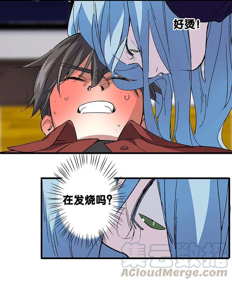 43.jpg
