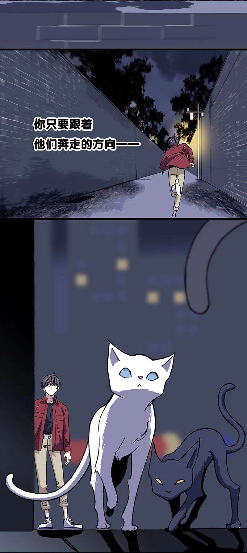 41.jpg