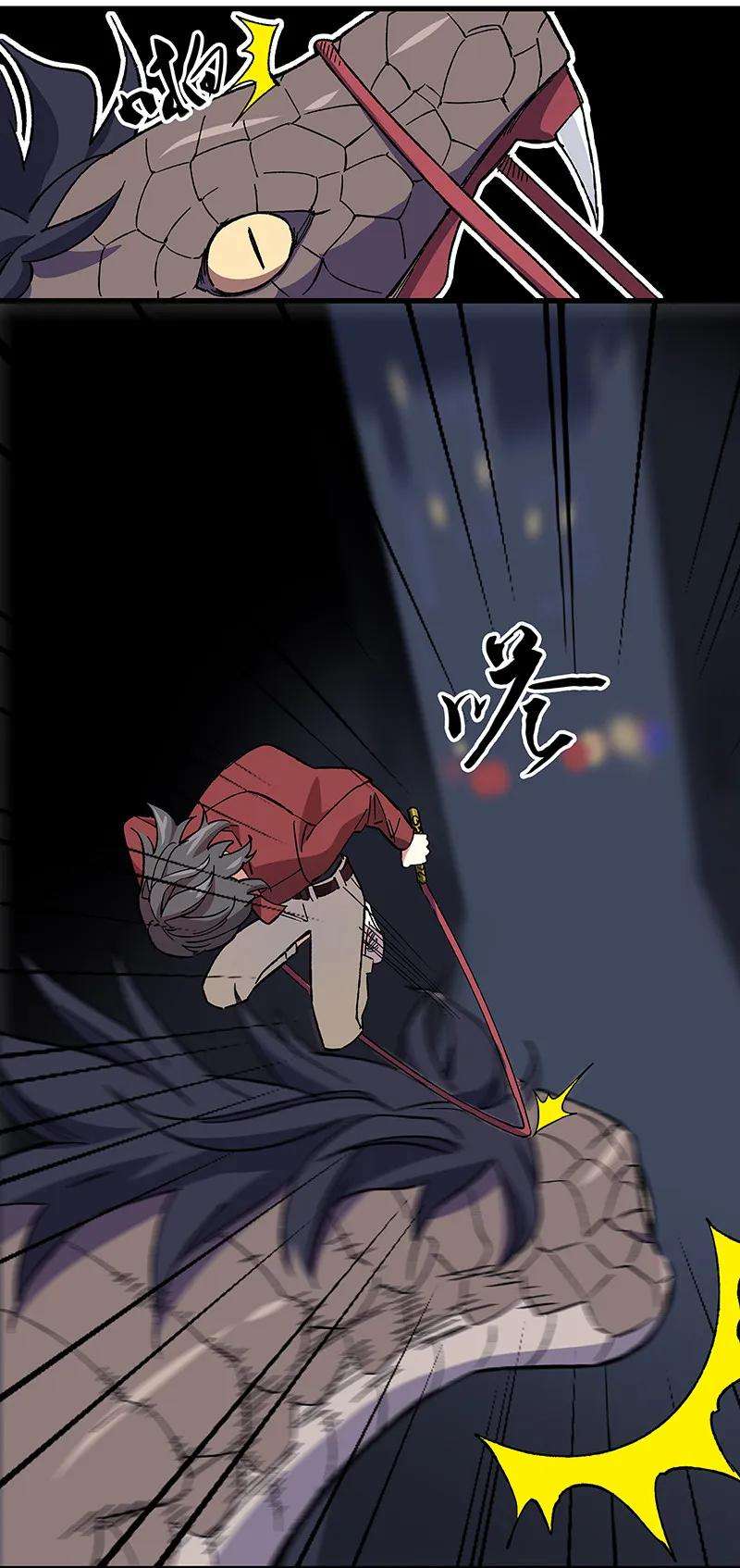 17.jpg