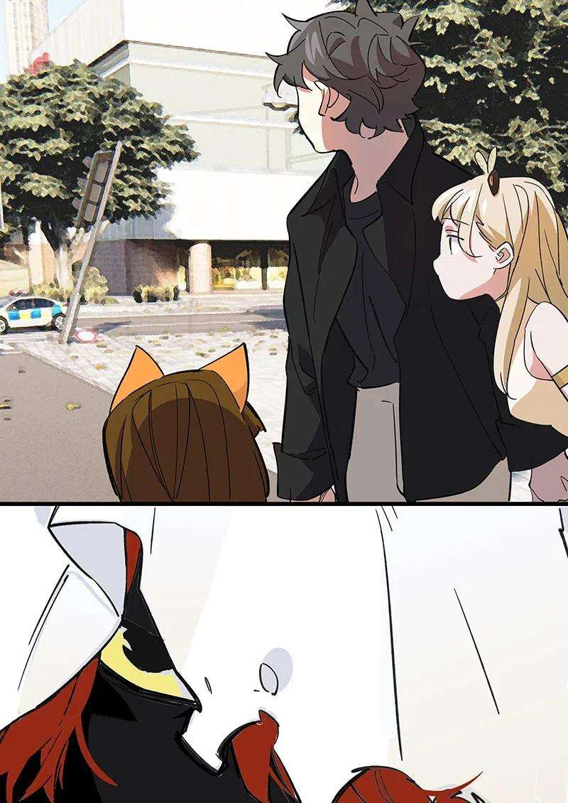 41.jpg
