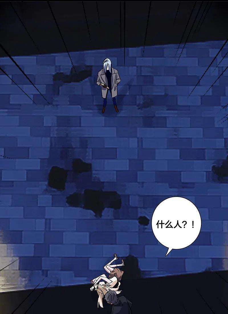 26.jpg