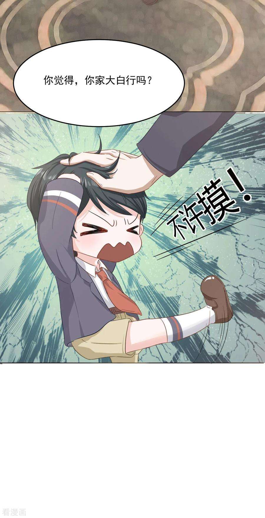 19.jpg
