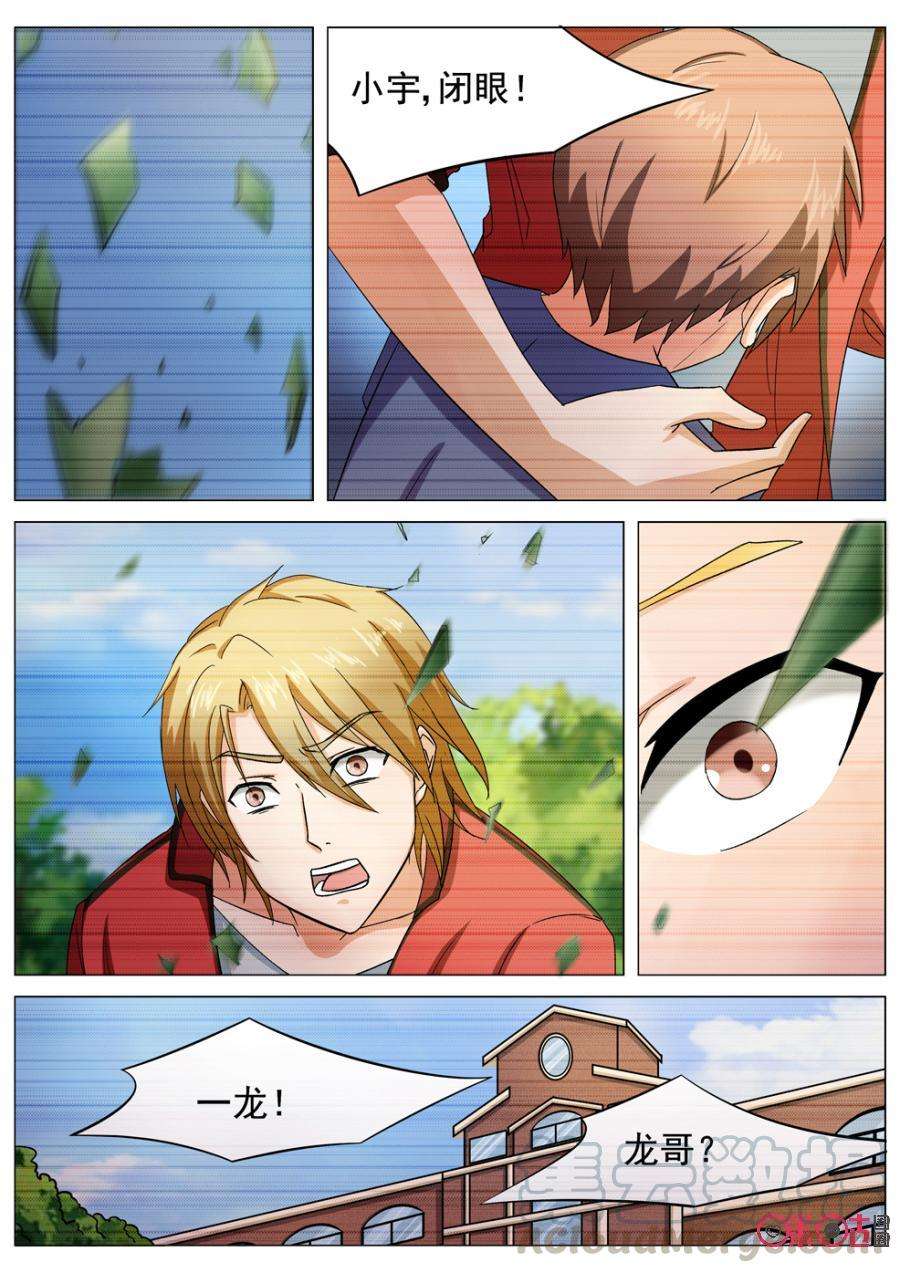 11.jpg