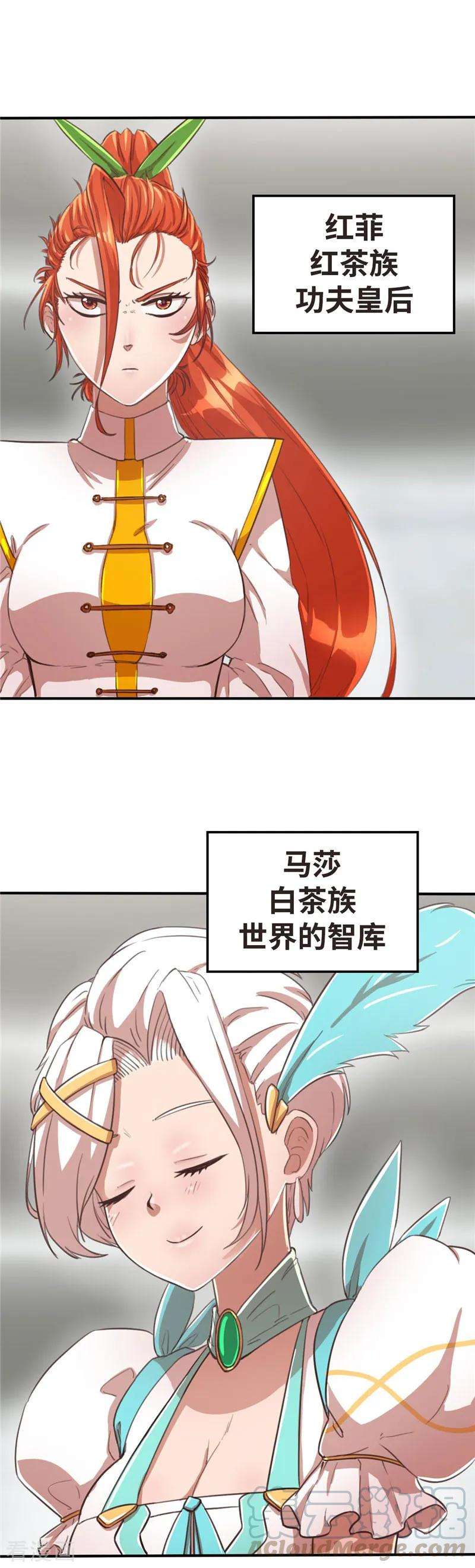 15.jpg