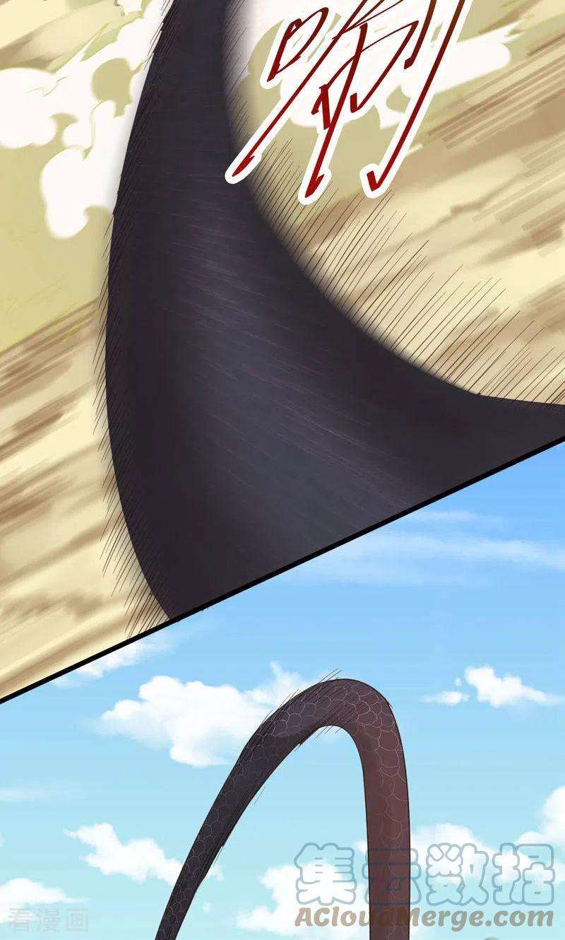 19.jpg