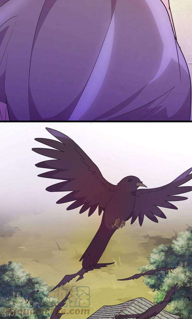 46.jpg
