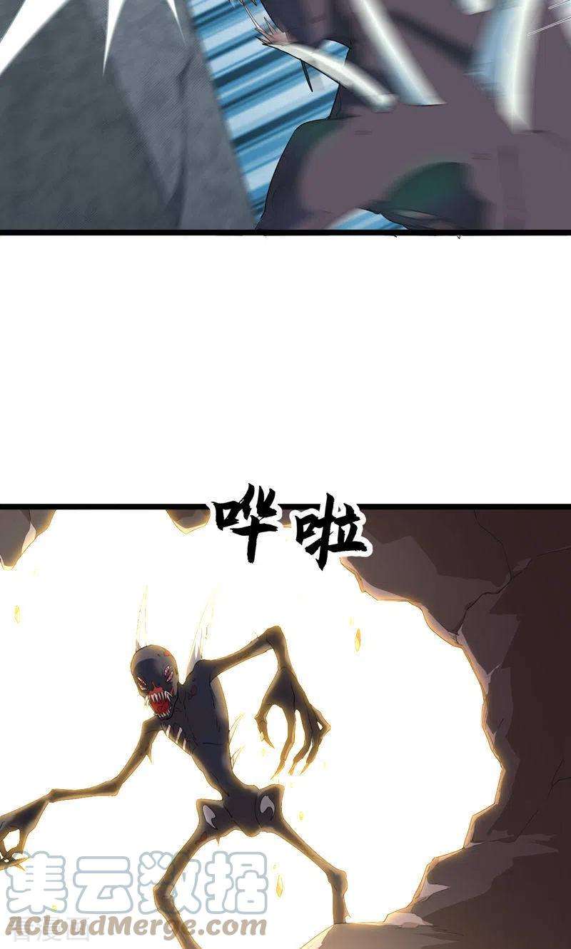 31.jpg