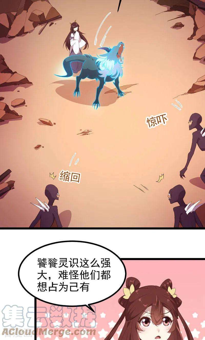 17.jpg