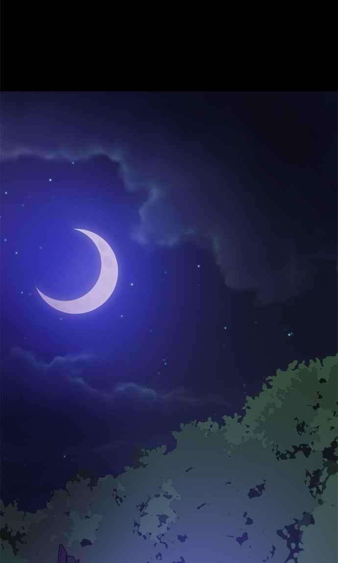 95.jpg