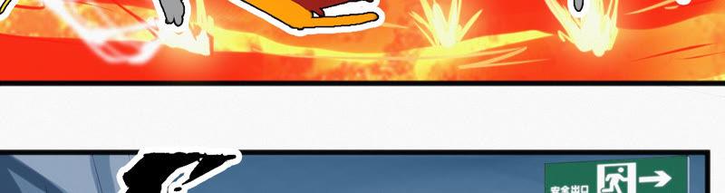 77.jpg