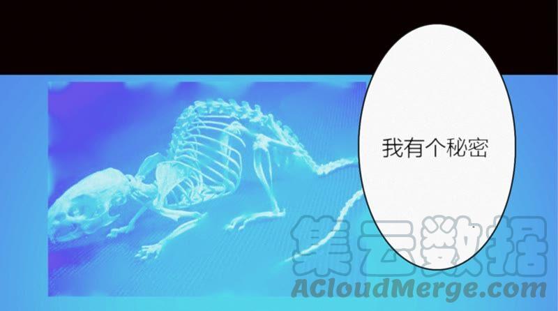 64.jpg