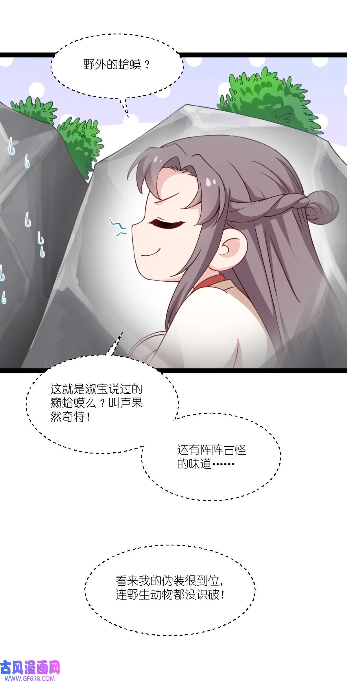 19.jpg