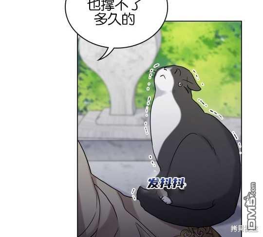 133.jpg