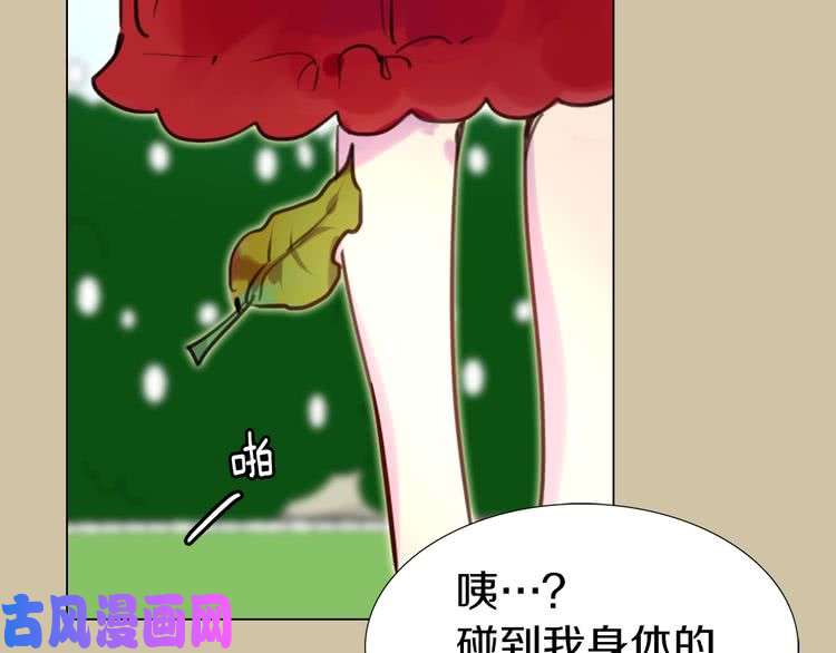 79.jpg