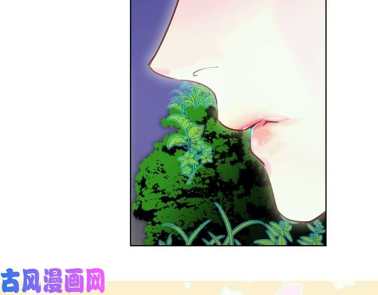 80.jpg