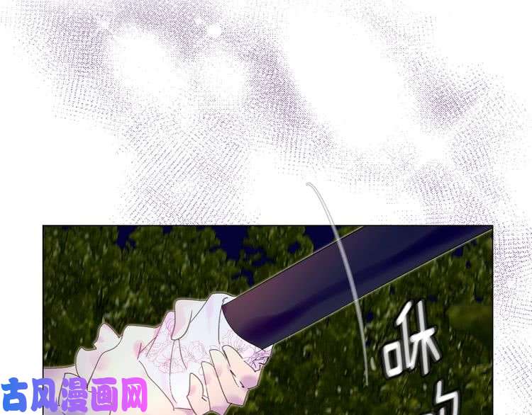 113.jpg