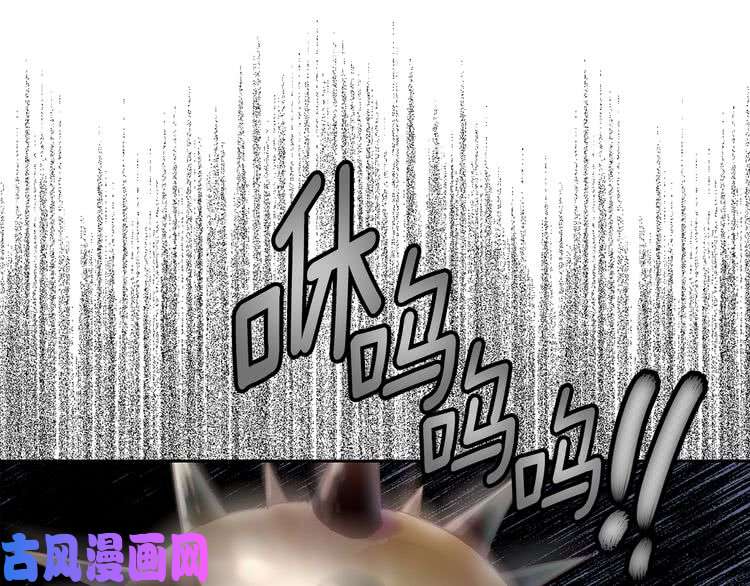 104.jpg