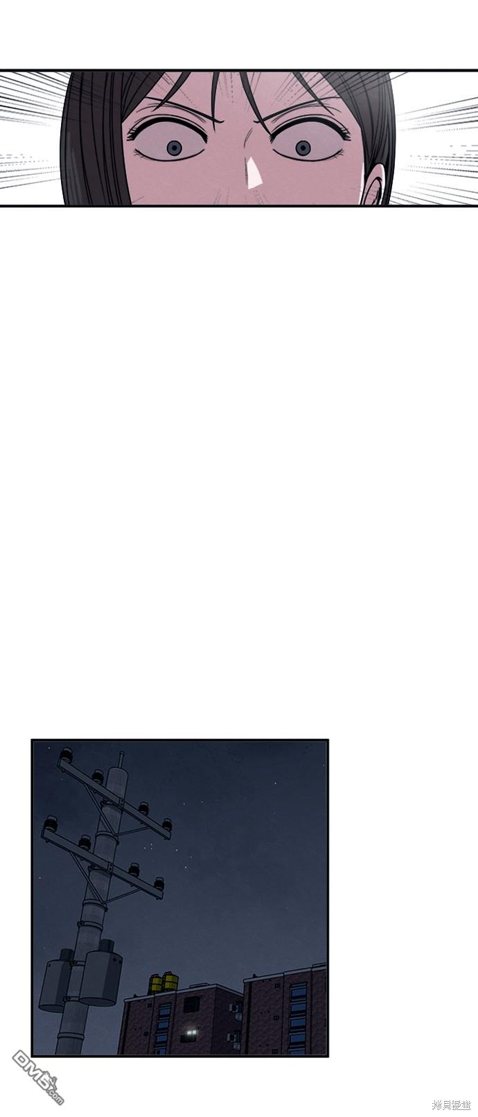 41.jpg