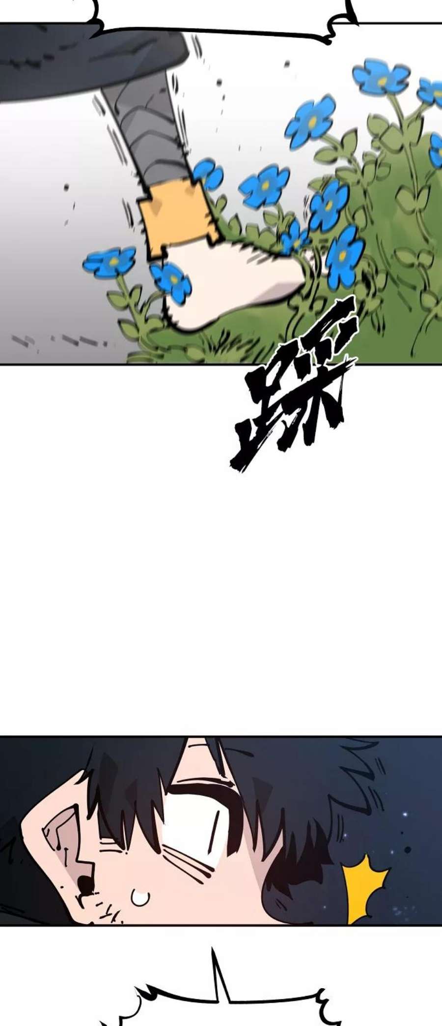 23.jpg