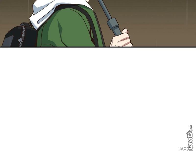 291.jpg