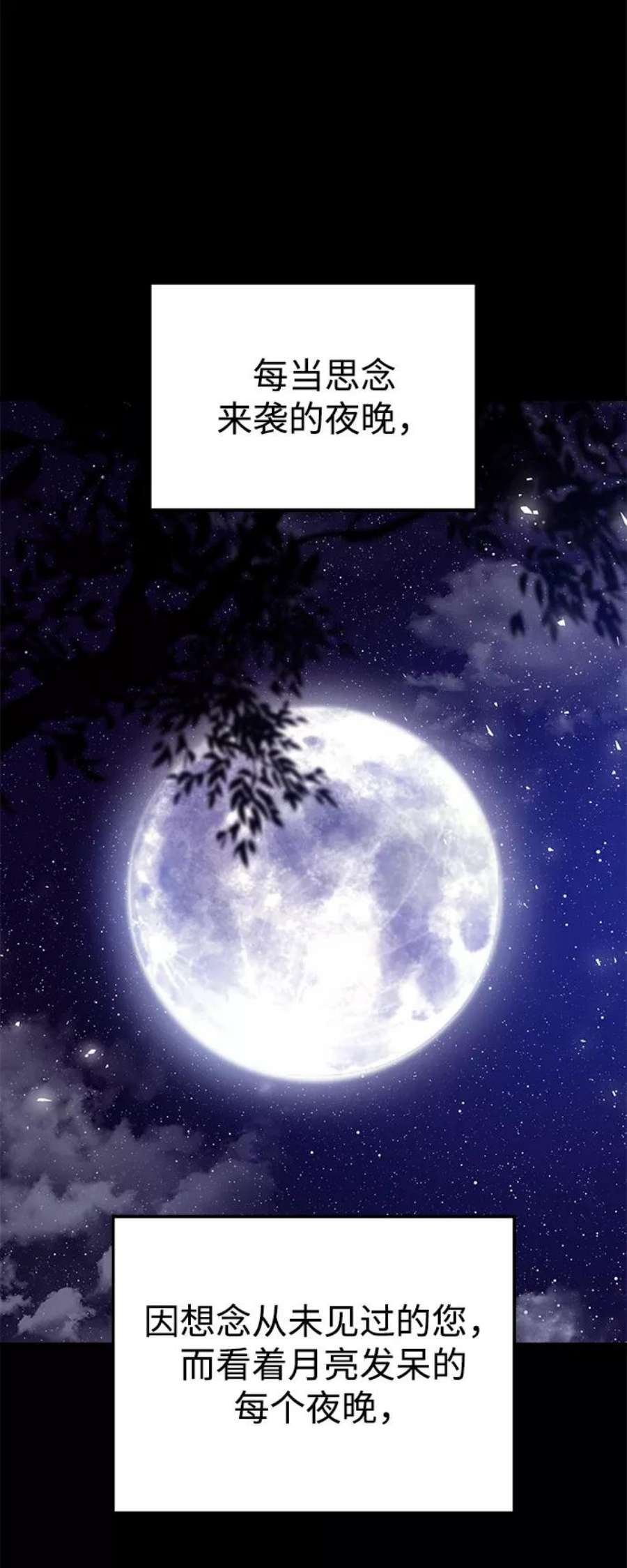 95.jpg