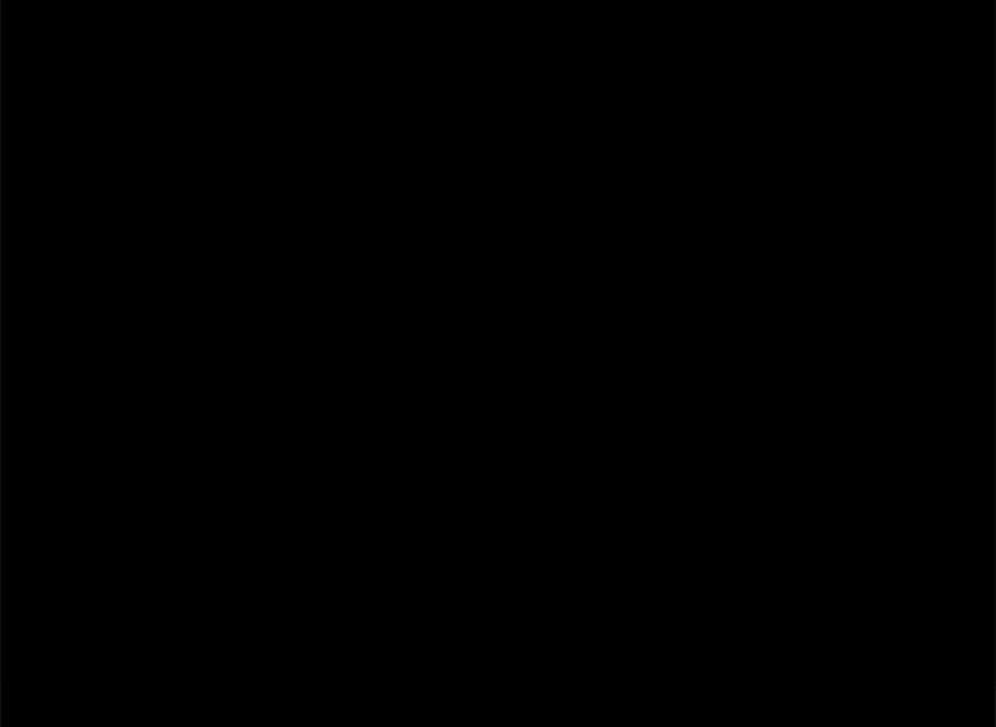 147.jpg