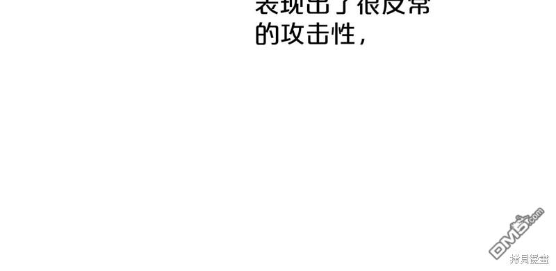62.jpg